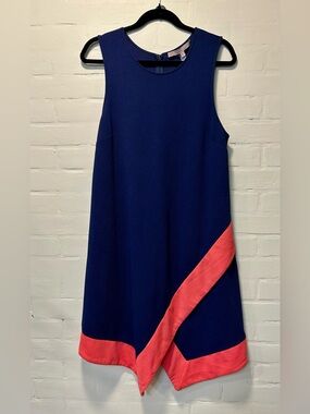 Hutch Blue Pink Colorblock Sleeveless Asymmetrical Shift Dress Size Large